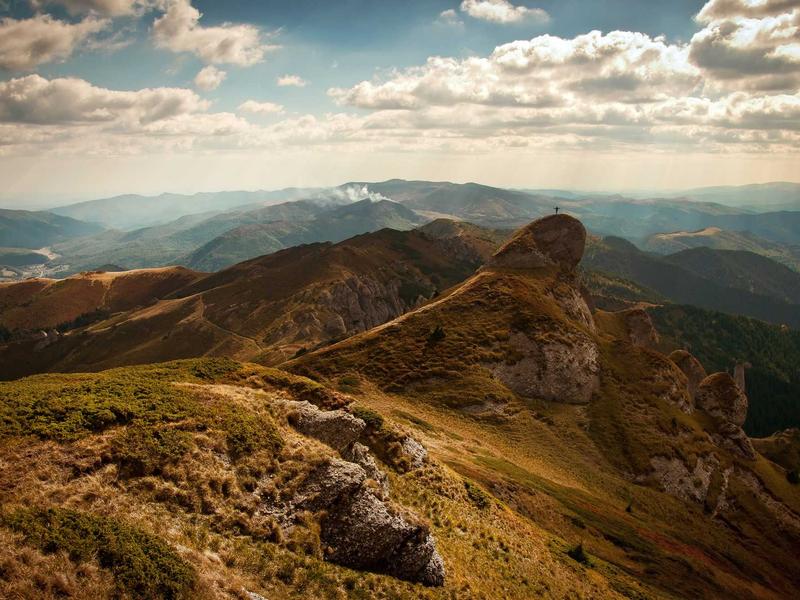 诗经草木疏<br>dxiixch.cn 蒹葭苍苍白露